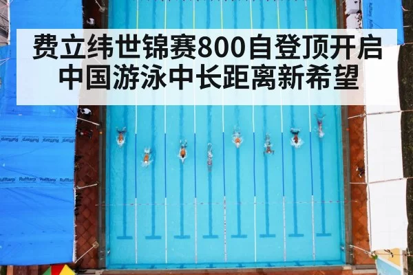 费立纬世锦赛800自登顶开启中国游泳中长距离新希望