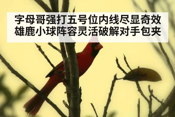 字母哥强打五号位内线尽显奇效雄鹿小球阵容灵活破解对手包夹